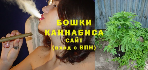 гидра Волоколамск