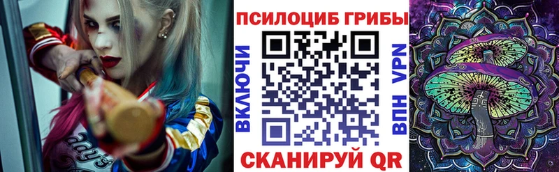 Псилоцибиновые грибы Psilocybine cubensis  Купить  Спас-Клепики 